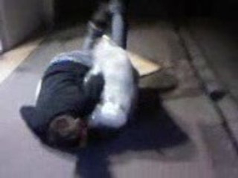 Vidéo0037