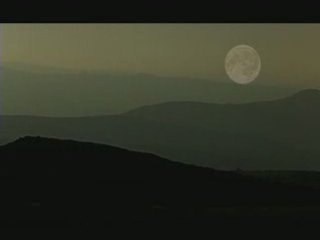 Xerión : Nocturnal Misantropía