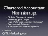 chartered accountant mississauga professionals