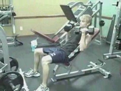 Online Personal Trainer Bicep Curls