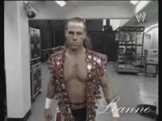 HBK tribute - Boulevard Of Broken Dreams