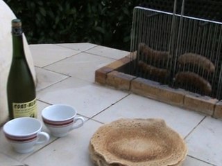 barbecue vertical et four à bois