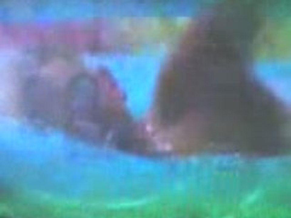 It Makes you move better than redbull