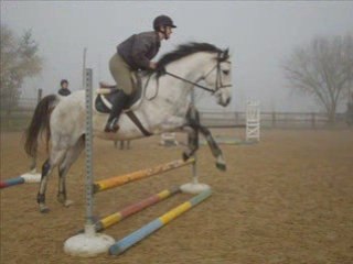 Jour 2 des galops 5,6,7 = Saut de puce =D