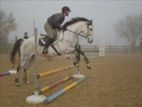 Jour 2 des galops 5,6,7 = Saut de puce =D