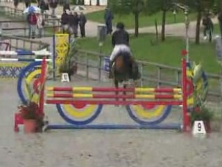 O'fever de l'Arbalou étalon NF Finale classique 6 ans D