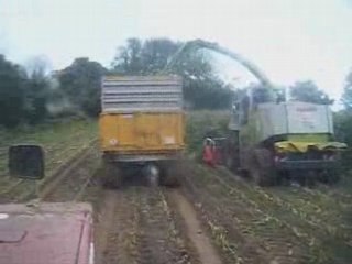 Ensilage maïs 2008 chapitre n°2