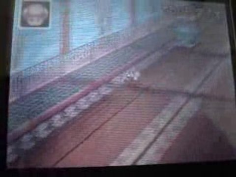 Mario kart ds Pont champignon