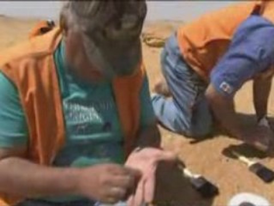 PLANETE TERRE 5_6 - Evoluer pour survivre 2_3