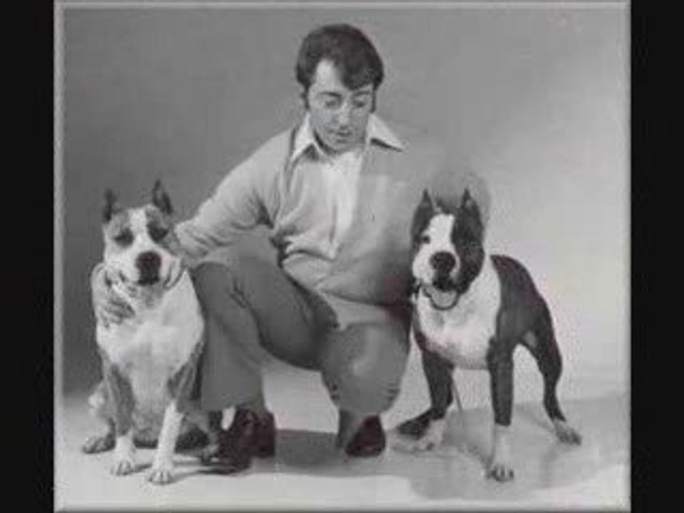 Sindelars dog
