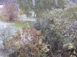 neige à vierzon