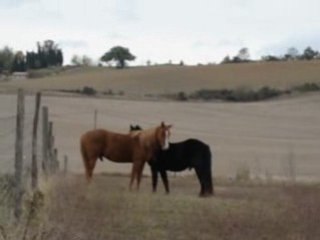 Boulo_paki_plus_tano_zyzy_collants 082