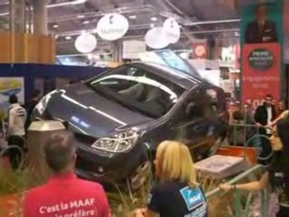 Au Salon d'Automobile