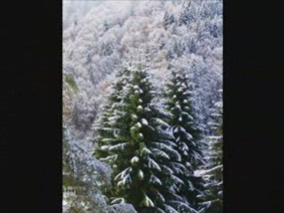 NEIGE