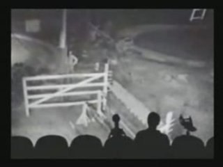 THE CIRCUS IS IN TOWN (RITA CELIA DINI)