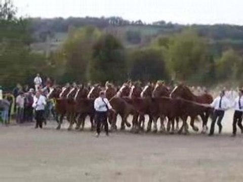 prix de famille breton, maurs, le 18-10-2008