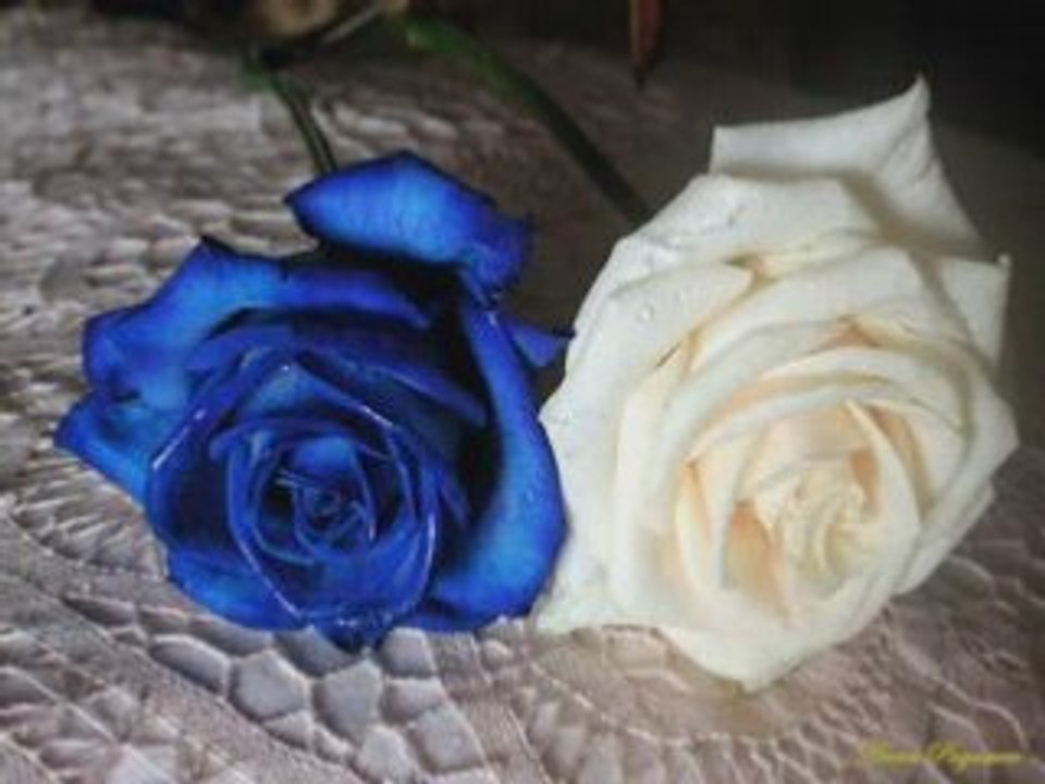 ÜMİT YAŞAR - DÖN BEBEĞİM (designed by harun yıldız)