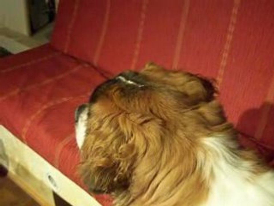 Kovu et sa lumière