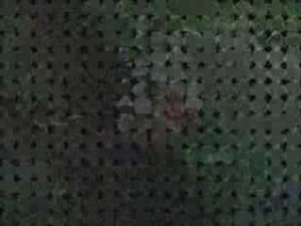 Dadouuus