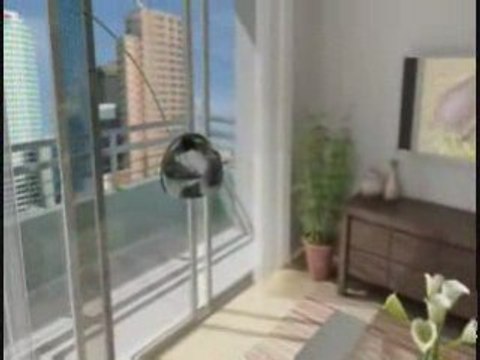 Tampa Bay Florida Properties