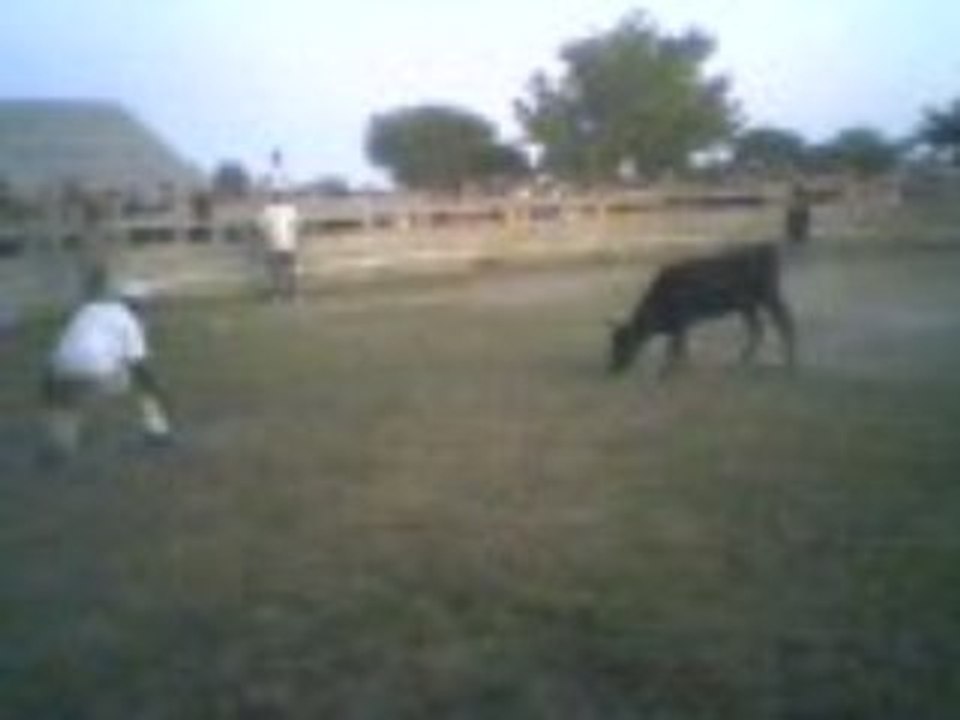 EDLASTAR Video ferade 2