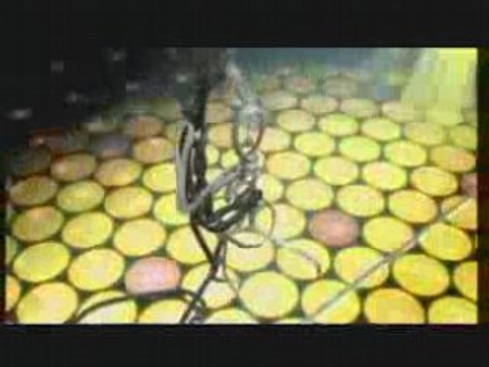 LA DANSE DES SEMELLES