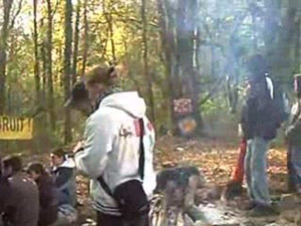 25/10/2008 Tawa Sous Les Bois Noktopus sur VCI-300