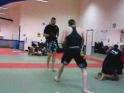 La team free fight style