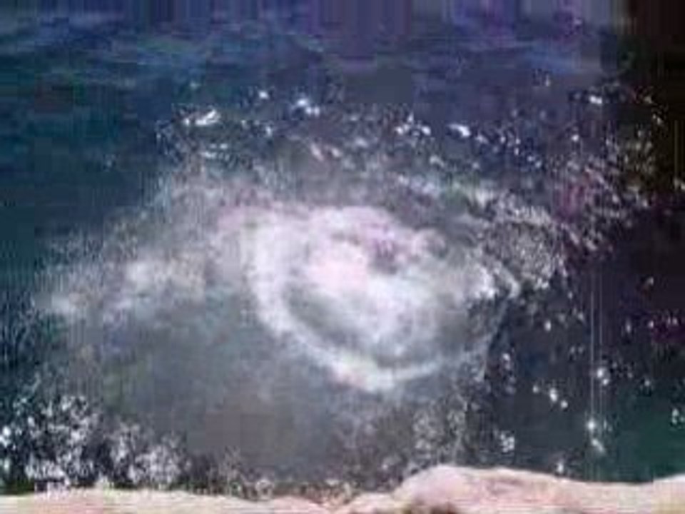 Cassis 2008 nemo & me