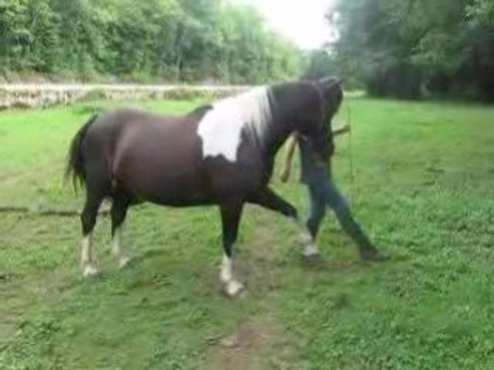 Ma pOnette lady Qui aprend la jambette par immitation