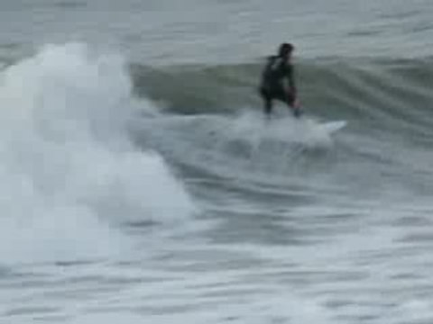 Surf a Whale Bay 301008