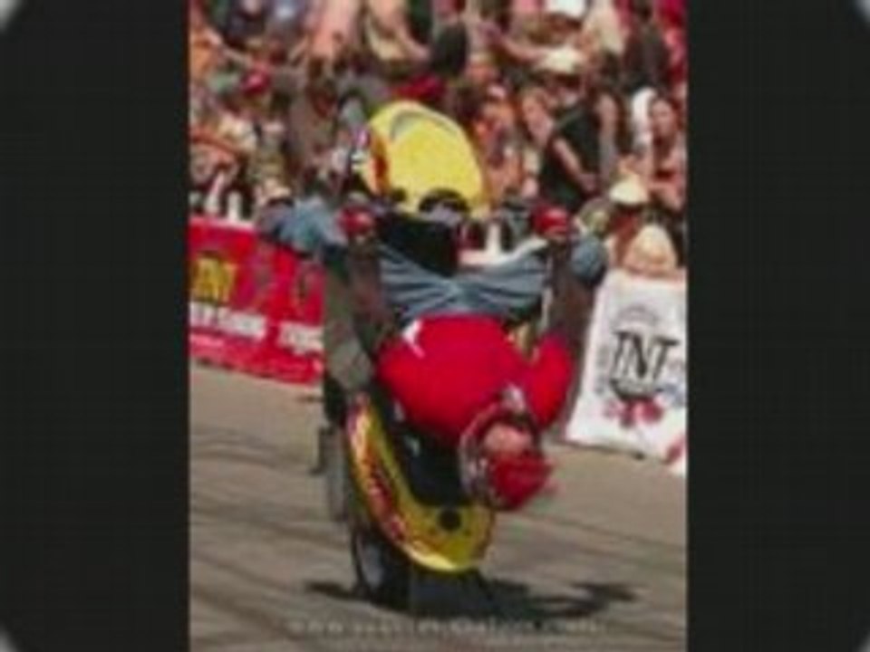 STUNT
