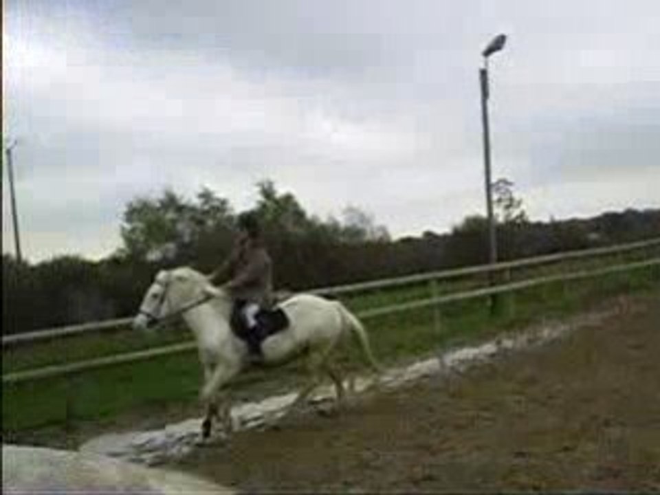 elle et moi petit parcours commenté par chloé^^