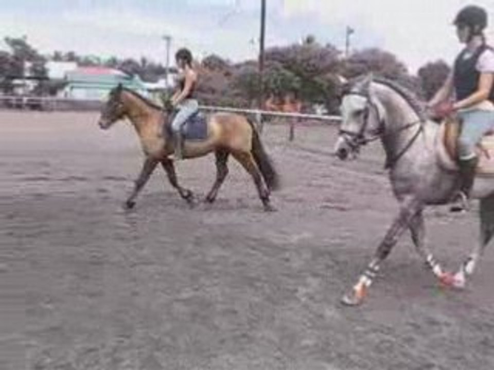 Baroud et Quandahar 3
