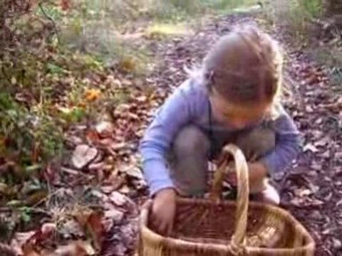 1008 je compte juste