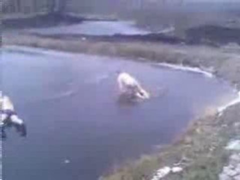 mdr!! Plongeon dans un lac gelé