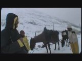 A cheval à travers l'Alaska