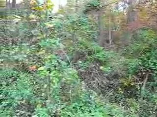 Fall Reflections Anderson Lake WV