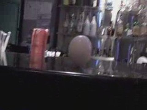 TiM's Flip Cam Clutter :: Two Weird Eggs One Video