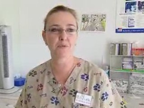 oasis vétérans reportage 30 millions amis 2006