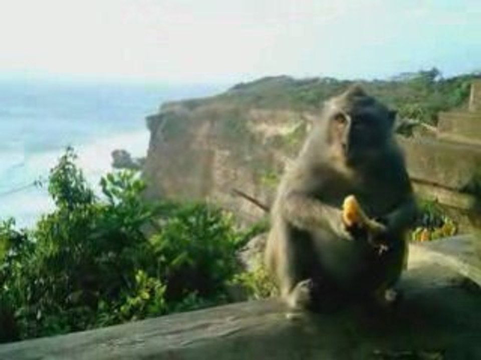 INDONESIE : Bali, Java & Lombok