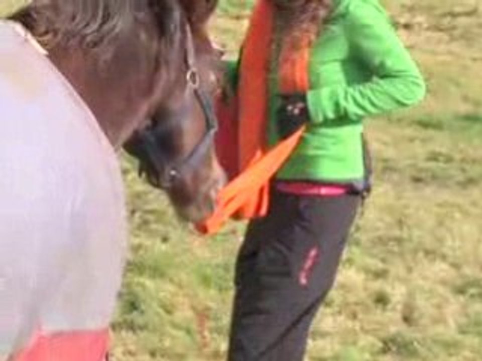 FanWalk Day 2 - Walking to Spice Girl City