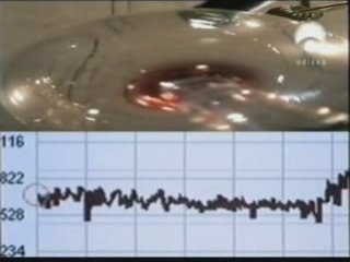 Vino tinto y salud: Polifenoles