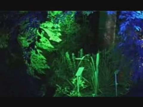 Colloque jardins en lumière, Nantes 2 octobre 2008