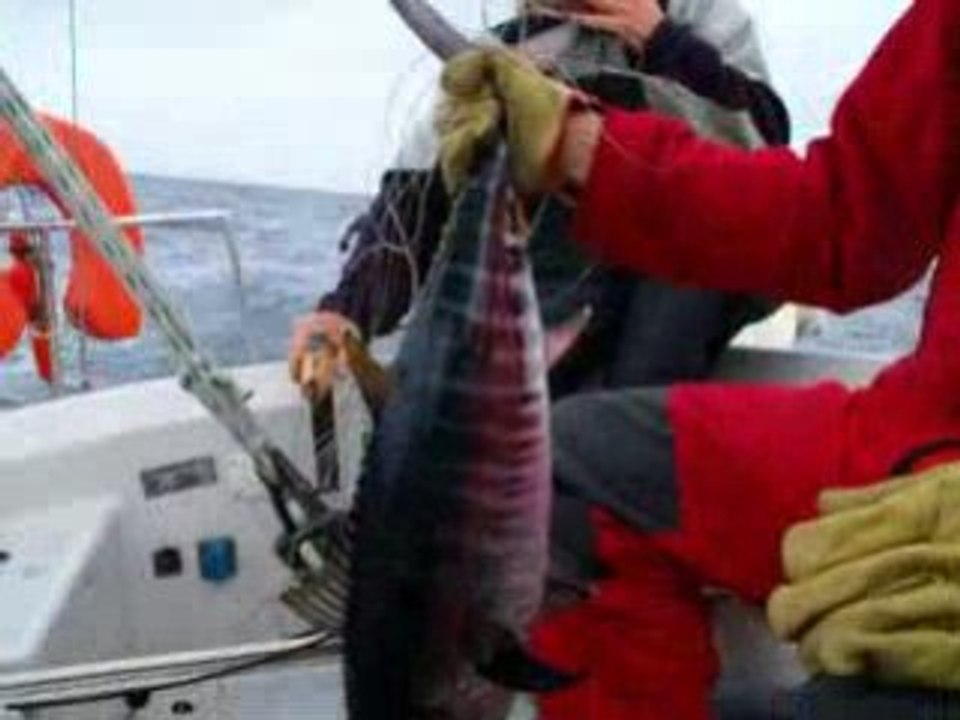 peche au gros a bord de kassumay