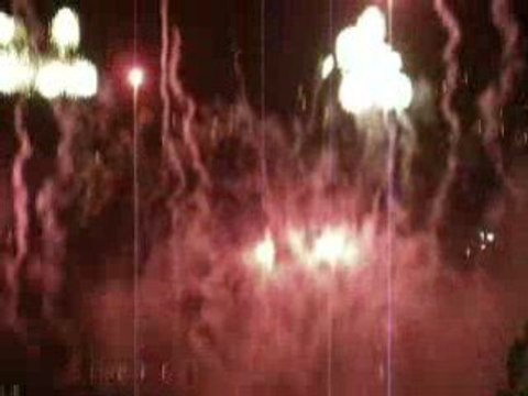 Les vendanges de Montmartre 2008