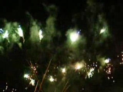 Les vendanges de Montmartre 2008