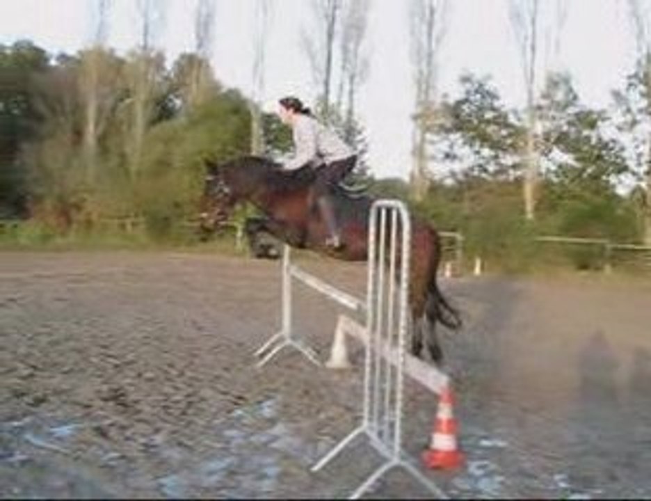 Scéance d'obstacle avec Ogham