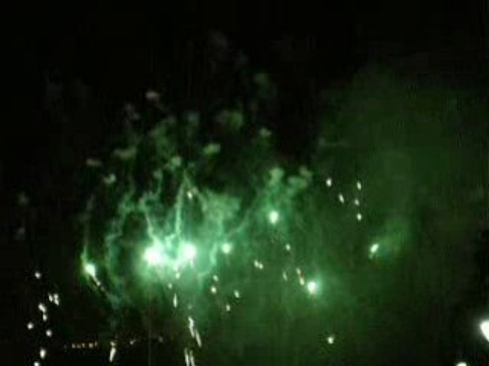 Les vendanges de Montmartre 2008