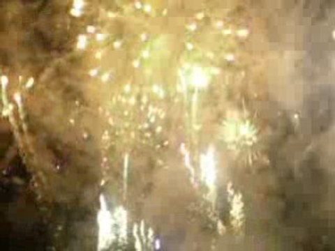 Les vendanges de Montmartre 2008